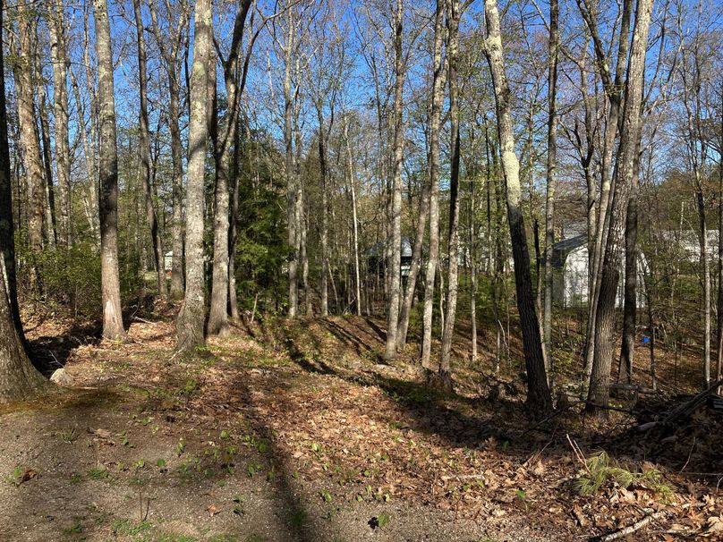 2023-05-08_08-21-58-0400