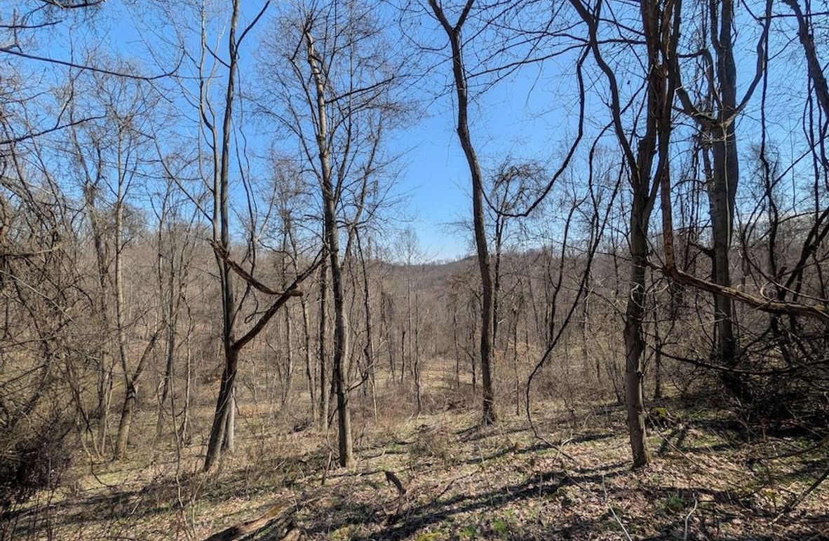 PXL_20260326_164719256