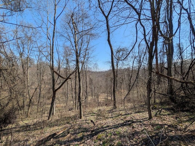 PXL_20260326_164719256