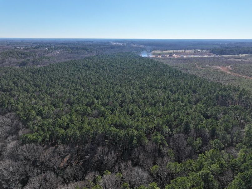 DJI_20260101141252_0298_D