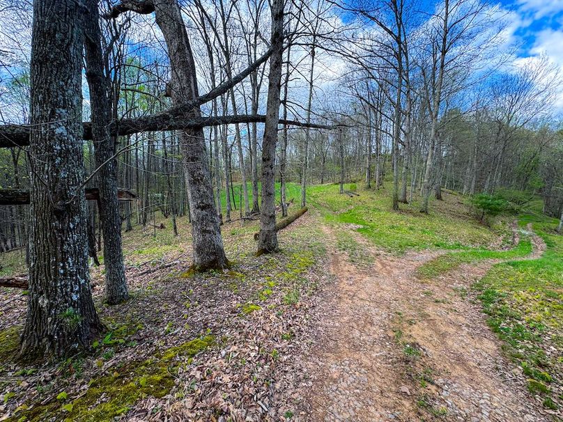 Calhoun, WV 132.84 AC Szegi 2-116