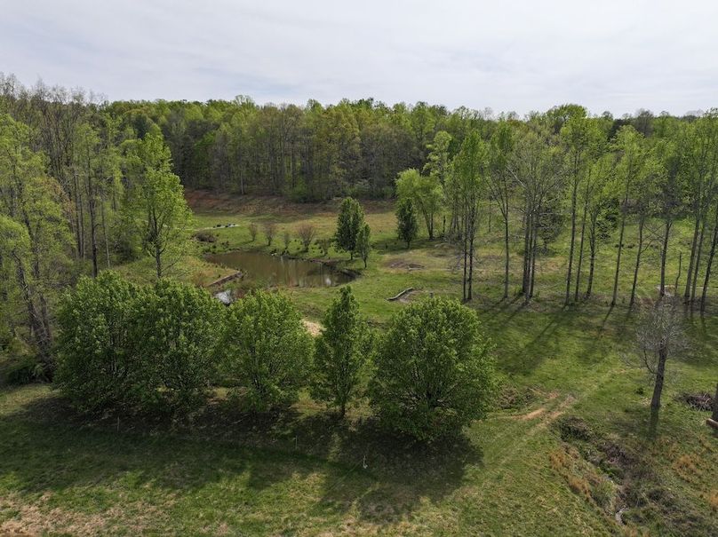 dji_fly_20260408_155134_0958_1776104716558_photo