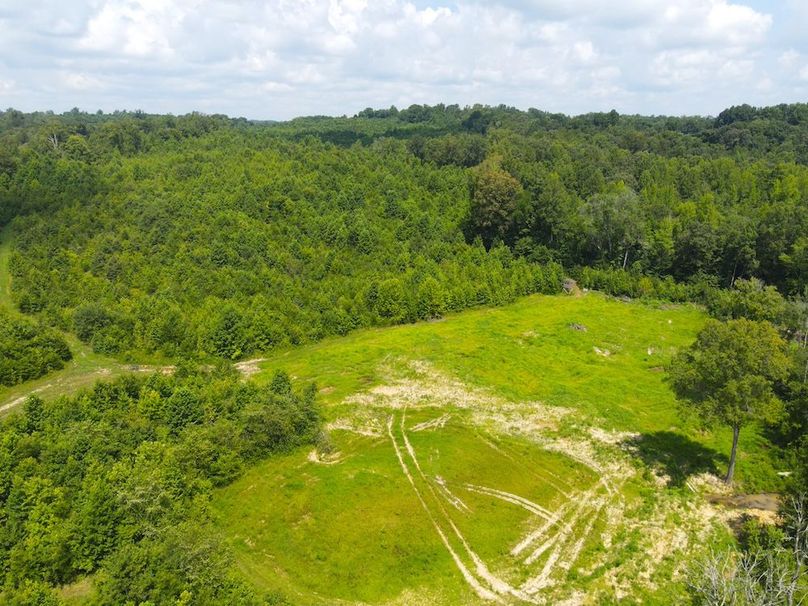 dji_fly_20250729_120028_742_1753804891953_photo