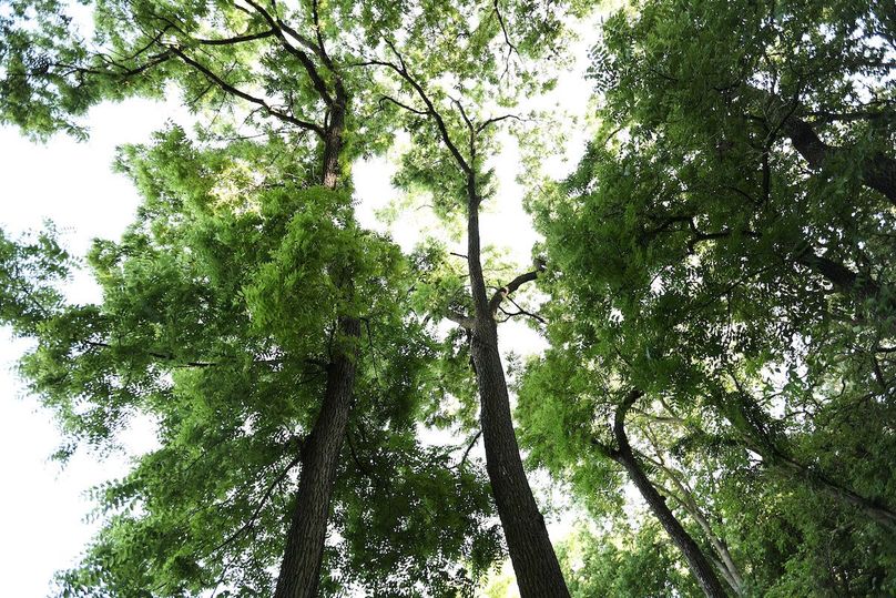 HARRISON CO. IA 24.85_84