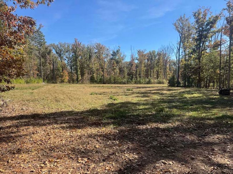 jeff 5020251111_0309