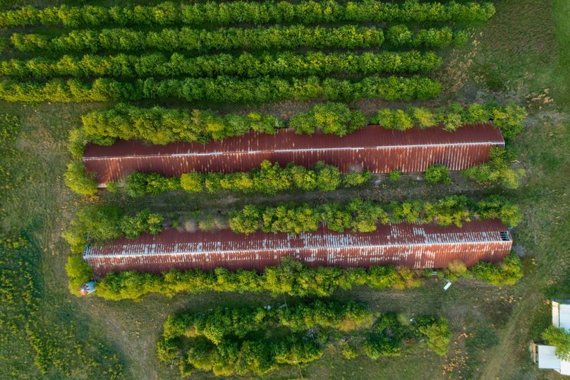 50.38ac_BethlehemRd_Caroline_AERIAL_007