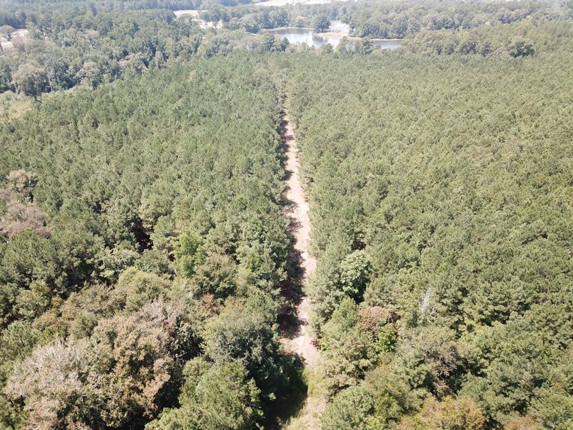 DJI_0742