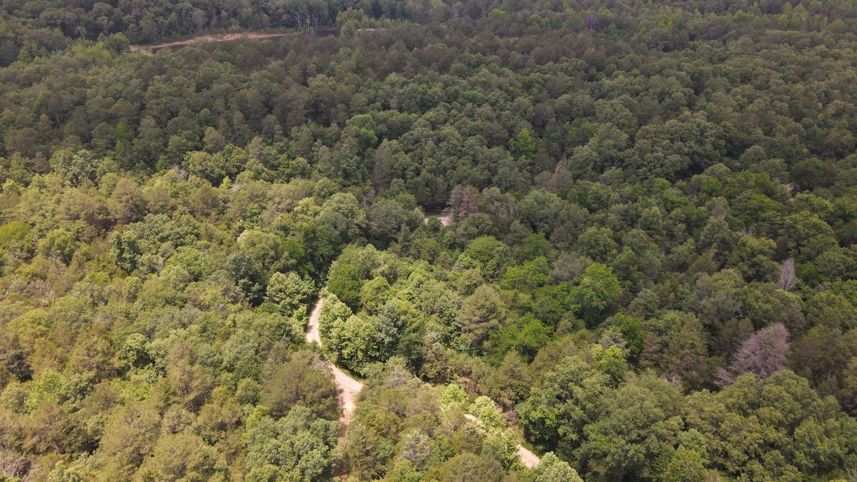 Small Acreage Bordering US National Forest Whitetail Properties