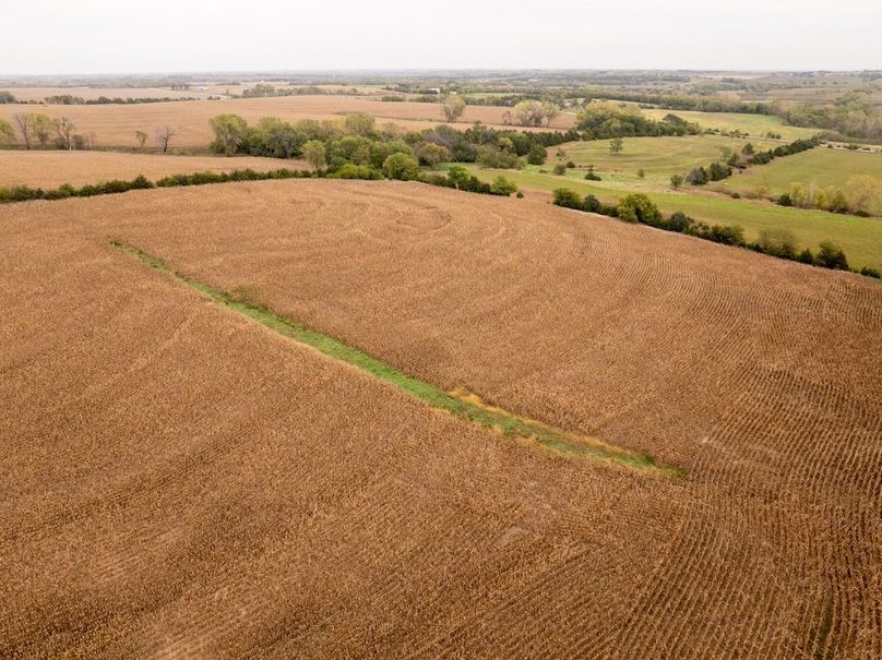 DJI_20251011101630_0128_D