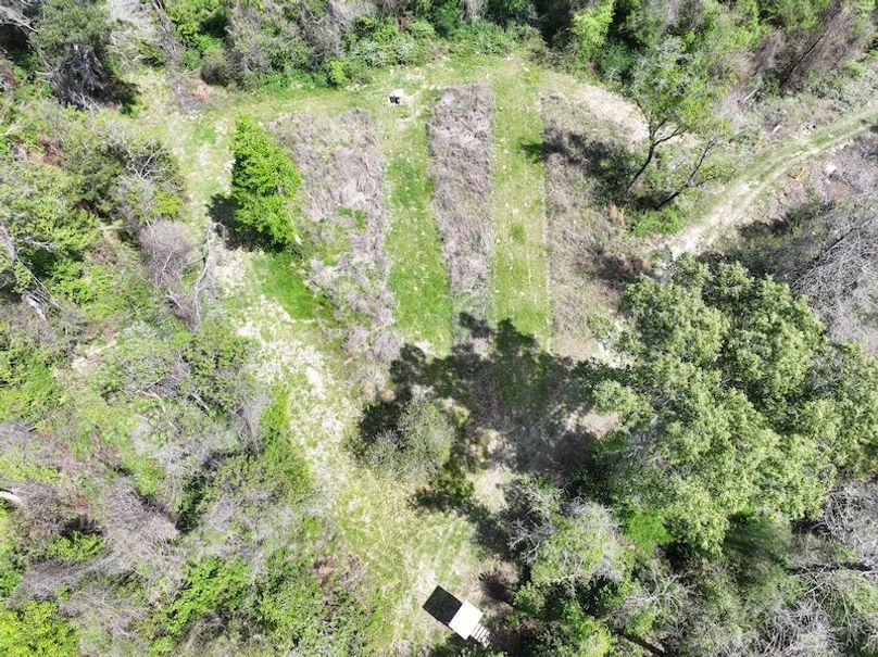 dji_fly_20260327_124136_0031_1776088024615_photo