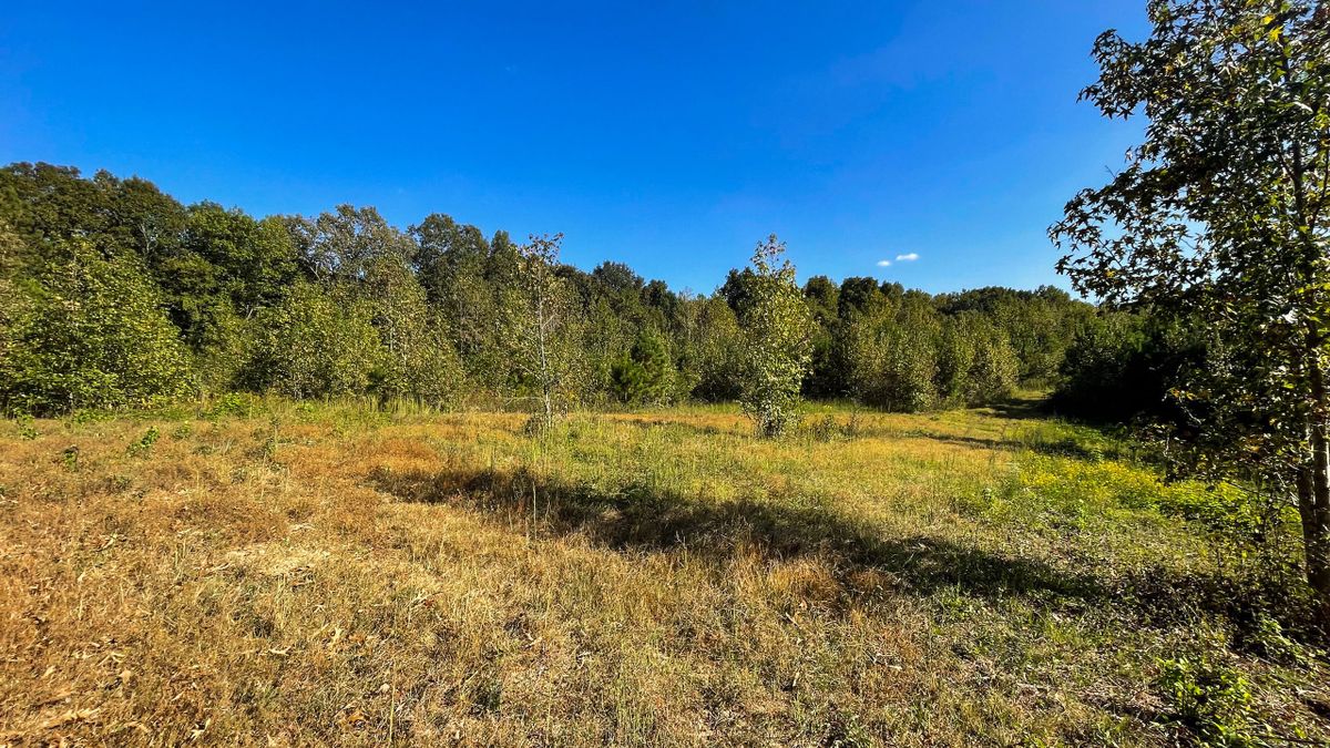 Small Hunting Retreat And Potential Homesite Whitetail Properties