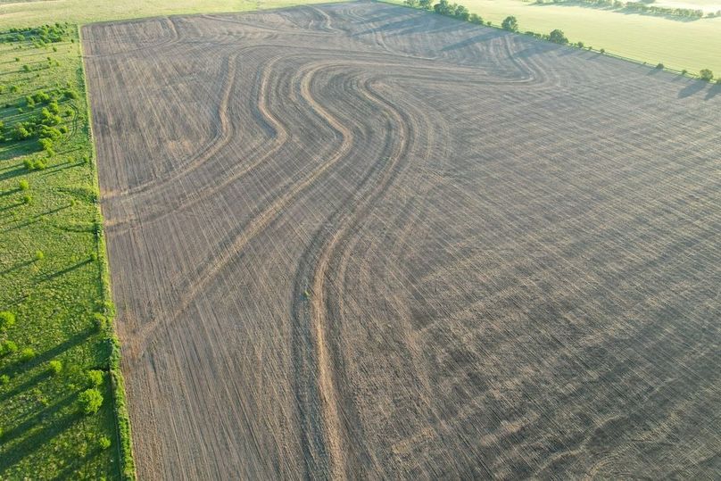 DJI_0563
