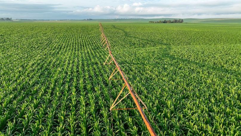 Copy of Copy of DJI_0387