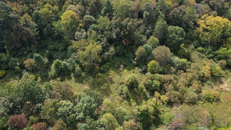 dji_fly_20250916_115314_749_1758038491520_photo