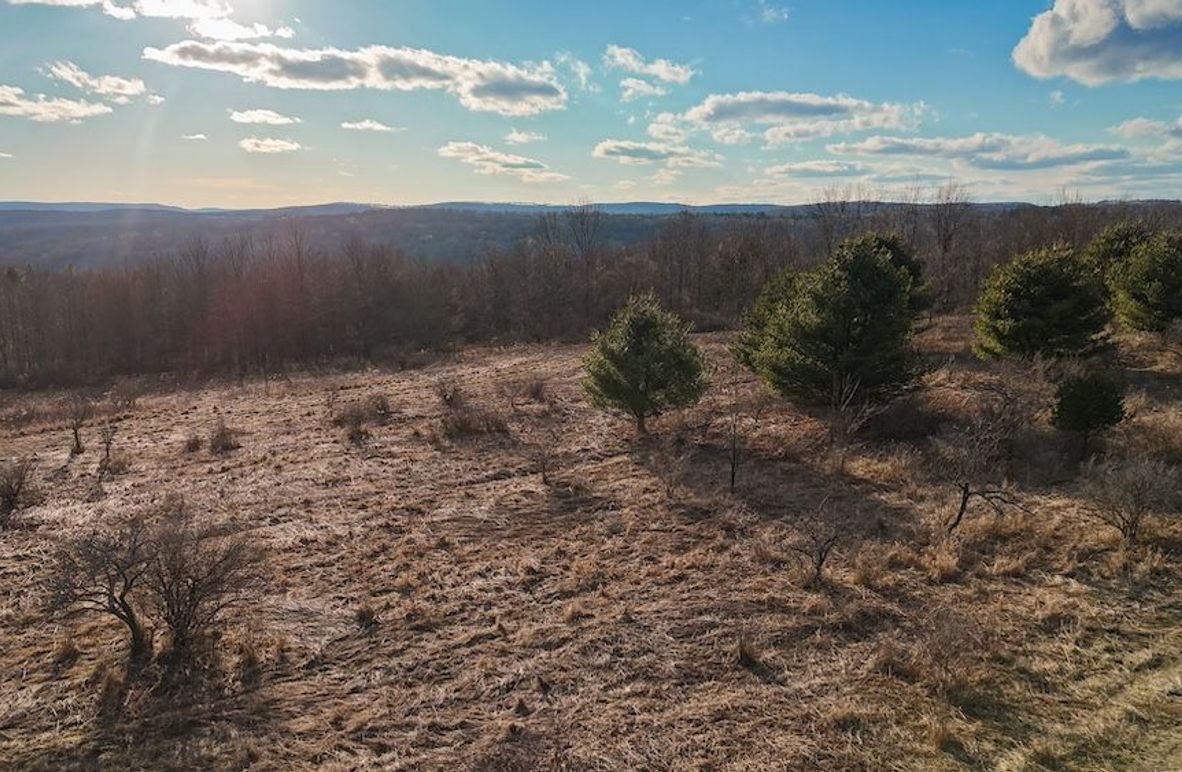 Chemung_43.23_Lippincott Photo 1