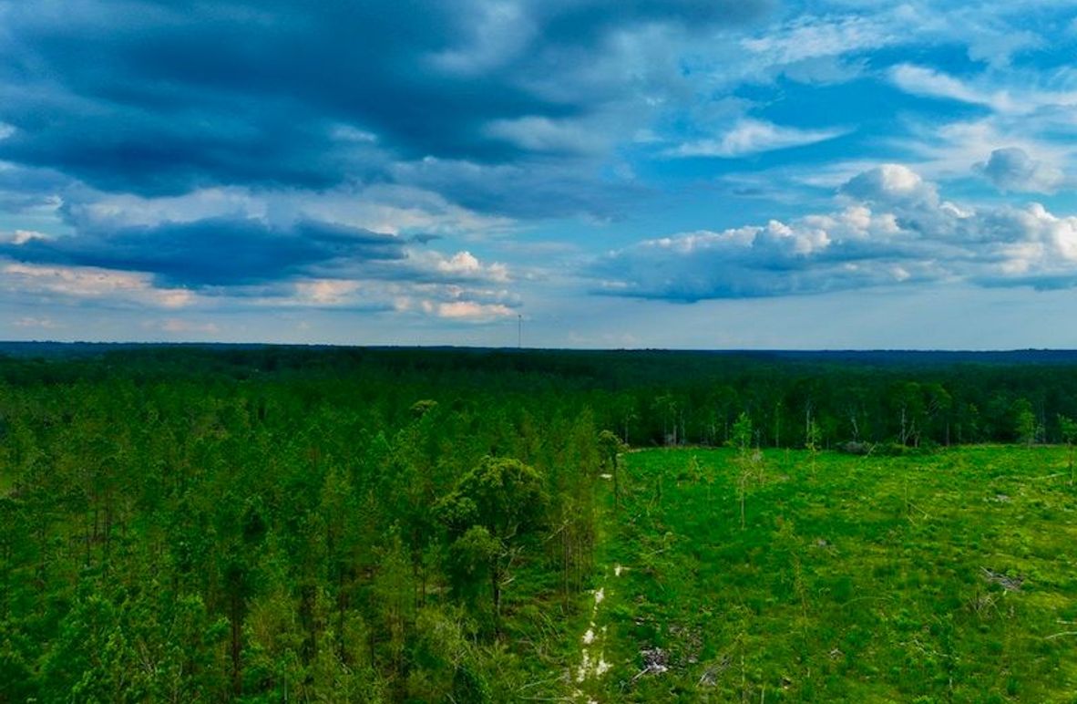 0FFE2142-B07F-448C-B32F-59CA37DA5D6F_1_105_c