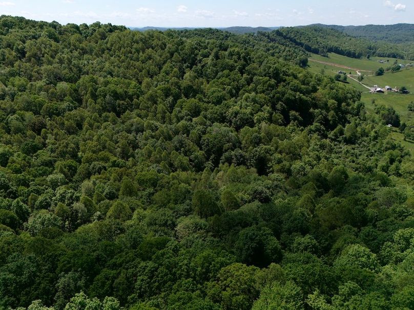 DJI_20250515092438_0271_D