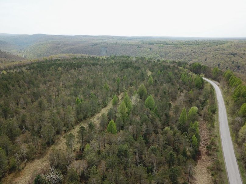 DJI_0018