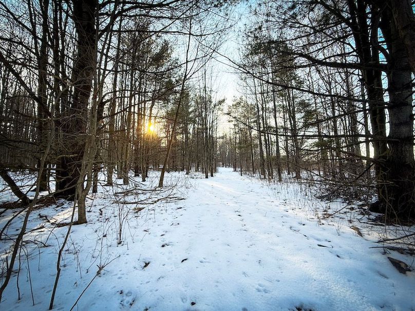 Seneca_43_Hohwald_Photos_24