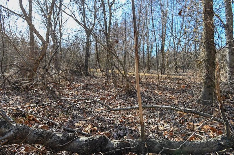 vandalia 450 (2)-1680