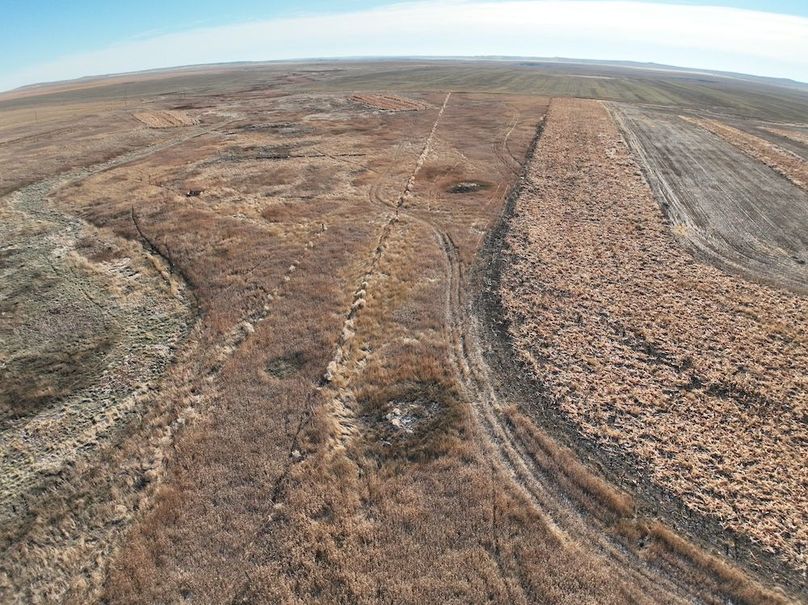 DJI_0934