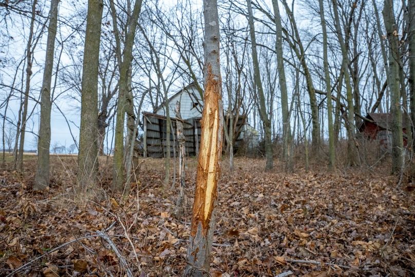 Copy of DSC00746 Large