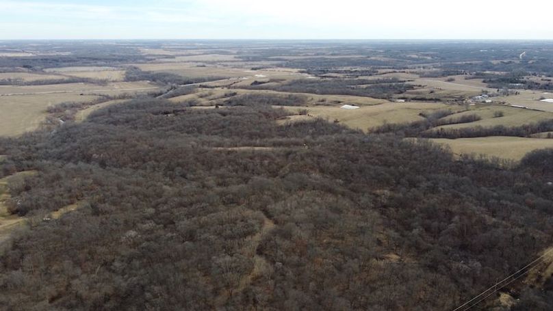 DJI_0633