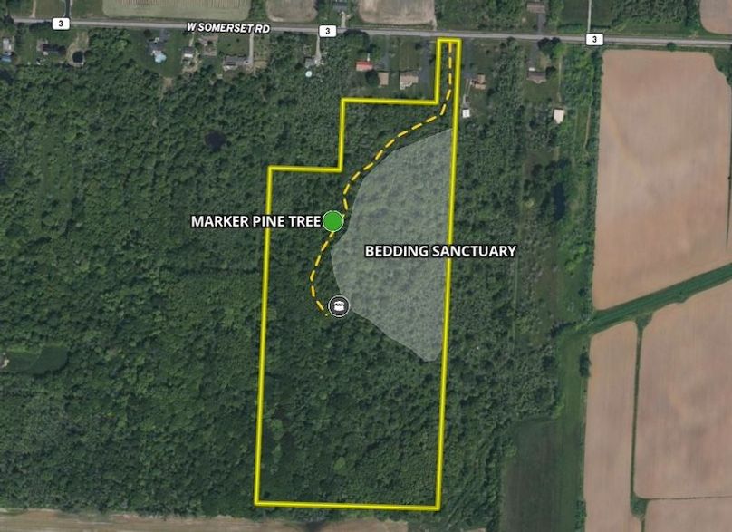 Land ID Bedding