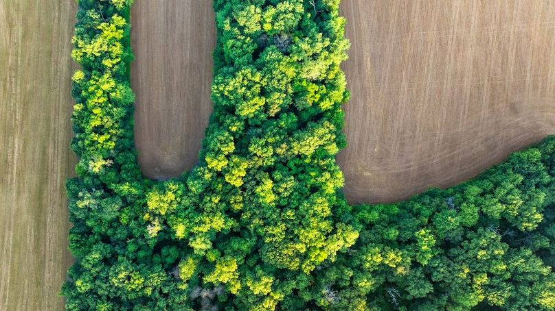 Copy of DJI_20250703172813_0031_D