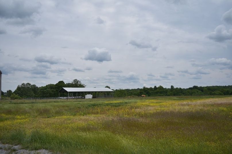 DSC_2585