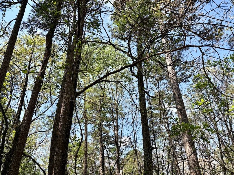 2A09BDFE-DBF6-468E-B215-1D2AC7F7B85C_1_201_a