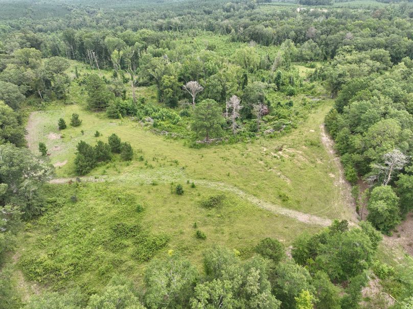 dji_fly_20230803_121940_467_1691080720599_photo