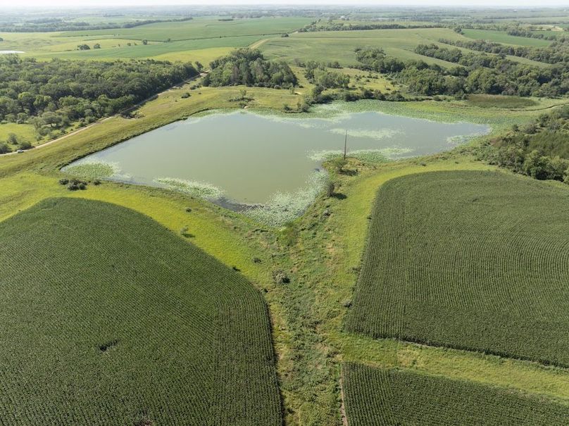 DJI_20250729101634_0064_D