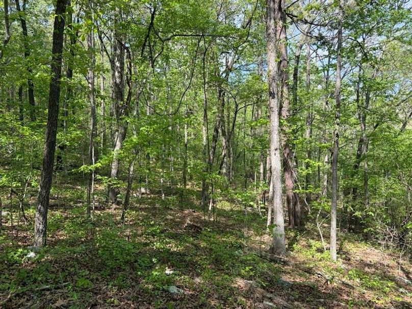 C637F1C6-4398-4470-B75A-EDC17203C088_1_105_c