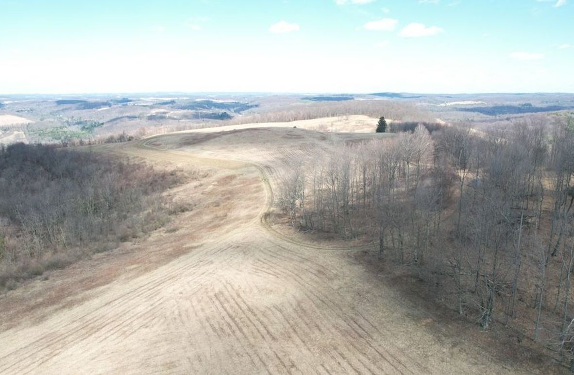 dji_fly_20250325_123138_32_1742920813852_photo