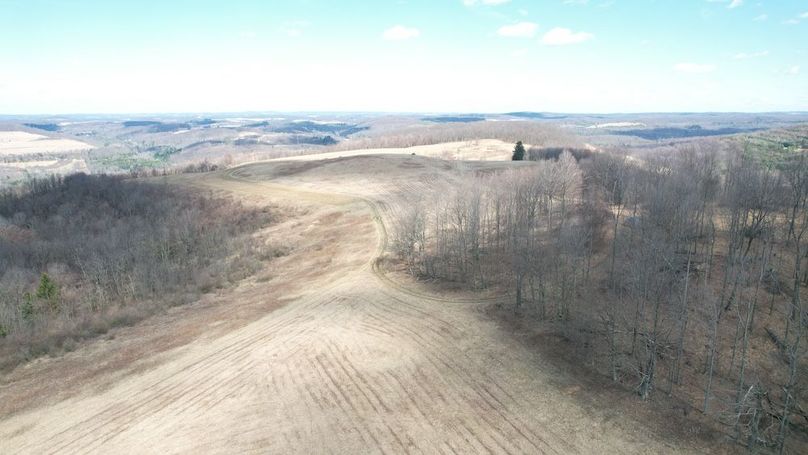 dji_fly_20250325_123138_32_1742920813852_photo