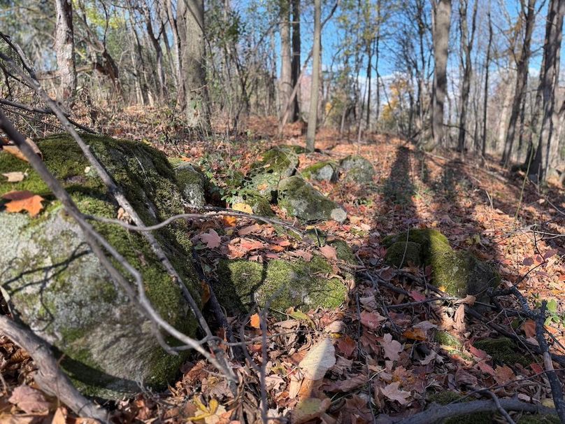 Wayne_18.11_Koehler Photo 28