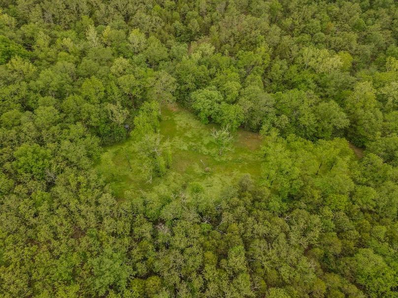 dji_fly_20260519_171256_445_1779228787012_photo