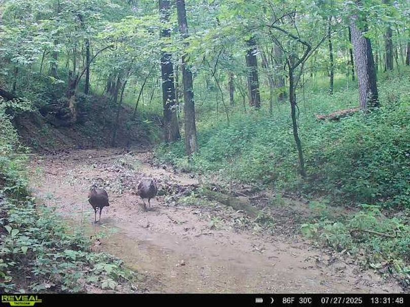 864049057690697-90-3-07272025133148-W1010076