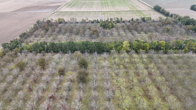 dji_fly_20251107_043124_0033_1762484043961_photo