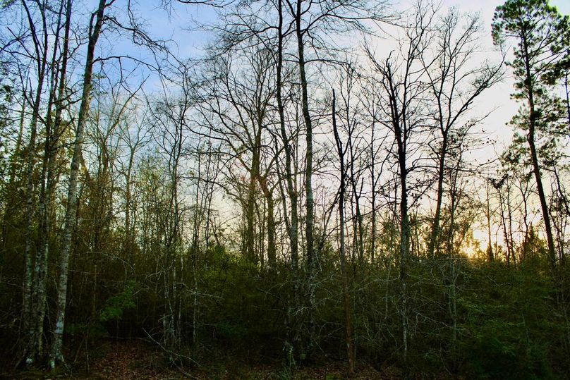 D358CCC1-99F2-477F-8A96-3D66EFBF232F_1_105_c