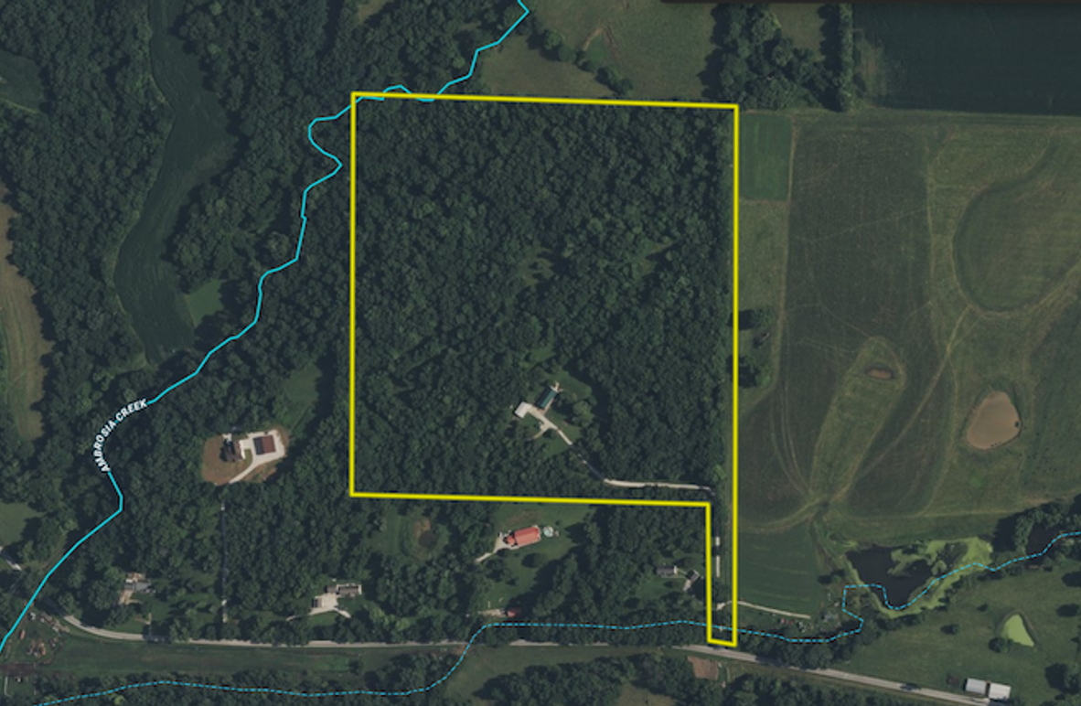 Screenshot 2025-06-24 at 10.29.03 AM