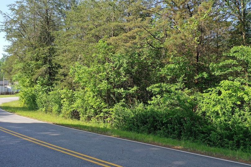 Road Front(1)