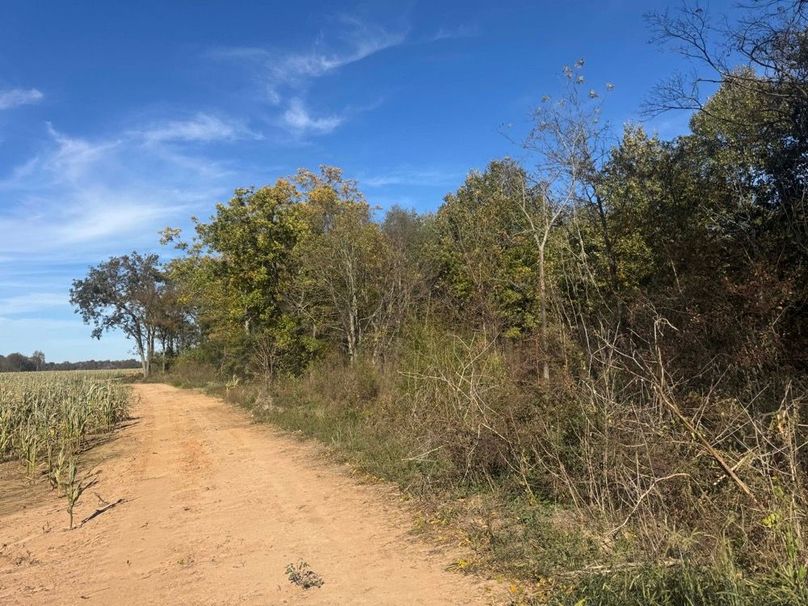 1a1 jeff 8320251111_0260