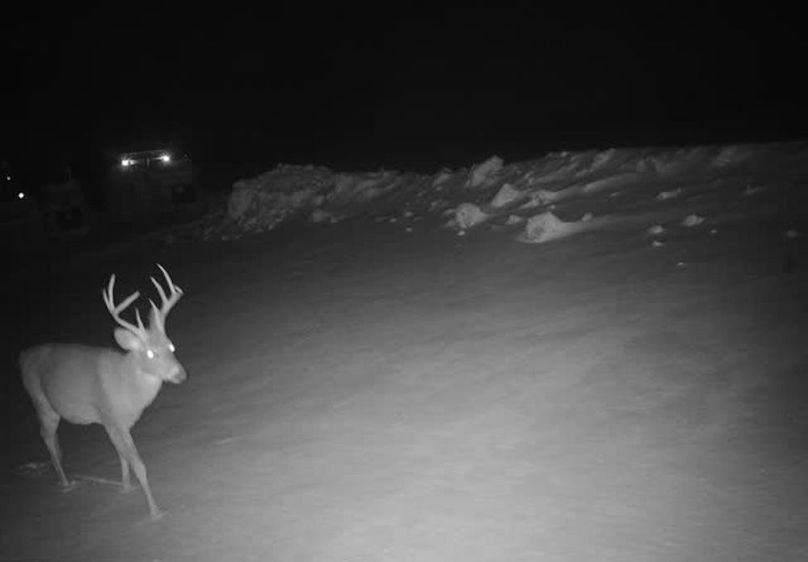 865509050092612-60-4-01012026052349-V-W1037982