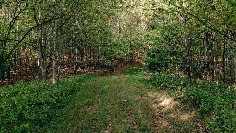 Miller-Hawkins pic 16