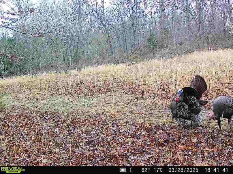 860322062550170-100-3-03282025184140-W1002825