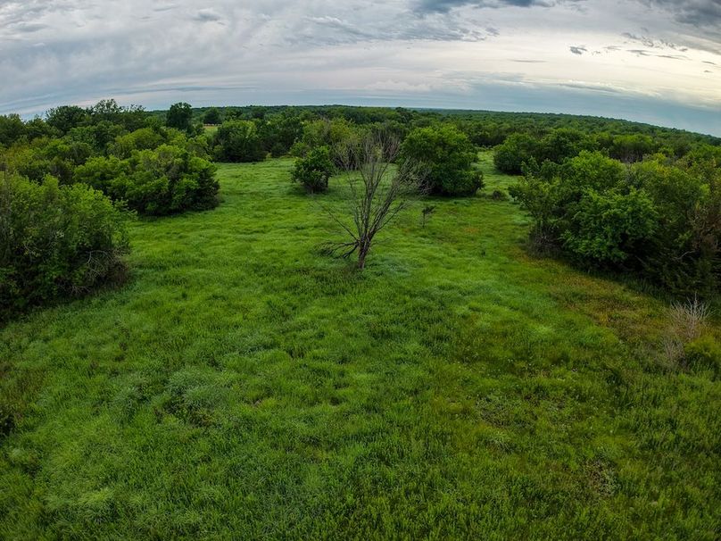 DJI_20250630073552_0344_D