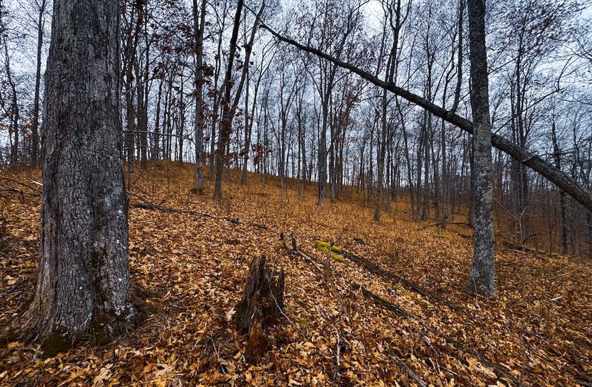 Ritchie, WV 100 AC Harper-02