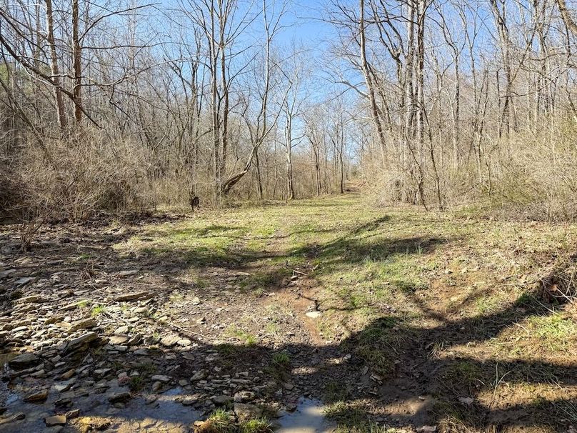 Fleming Petry 115-42